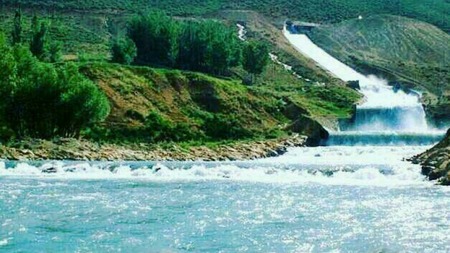 واحد های پاراکلینیک