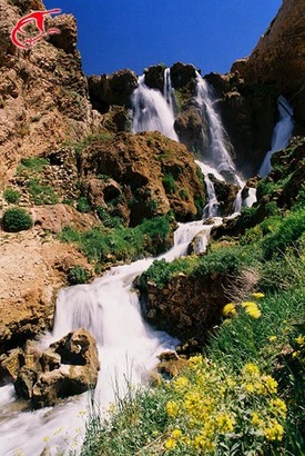 خدمات و پشتیبانی، اداری